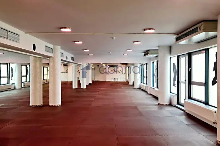 Pronájem obchodního prostoru, Praha, Chrudimská, 360 m2