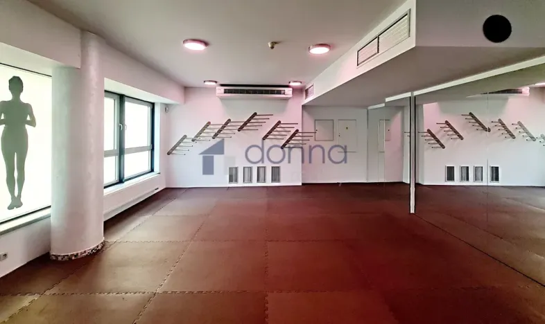 Pronájem obchodního prostoru, Praha, Chrudimská, 360 m2