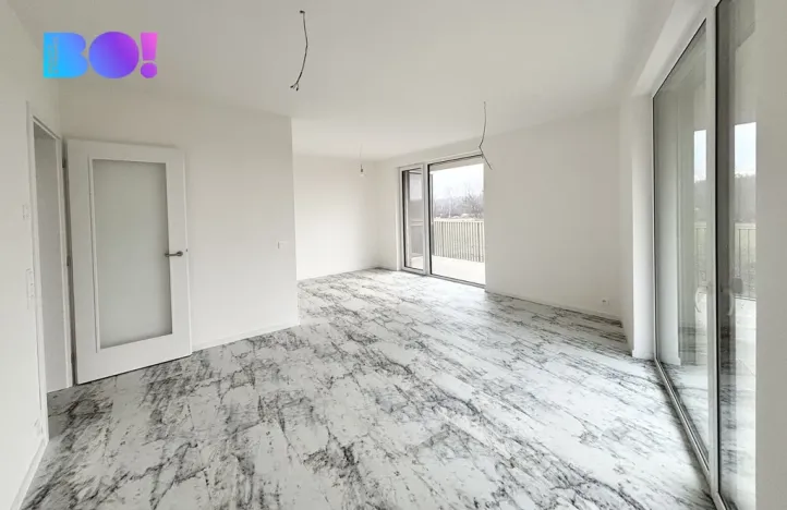 Pronájem bytu 2+kk, Ostrava, F. X. Riepla, 54 m2