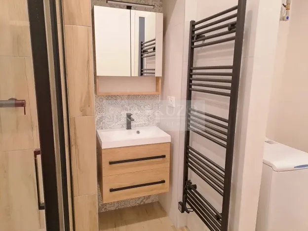 Pronájem bytu 2+kk, Praha - Žižkov, Domažlická, 55 m2