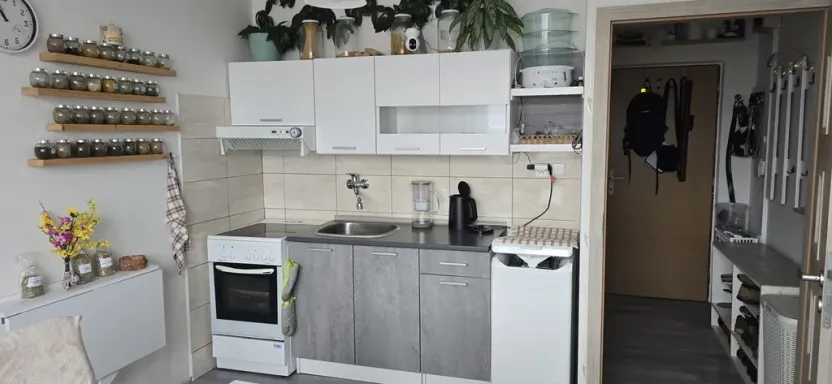 Pronájem bytu 1+1, Ústí nad Labem - Neštěmice, Seifertova, 36 m2