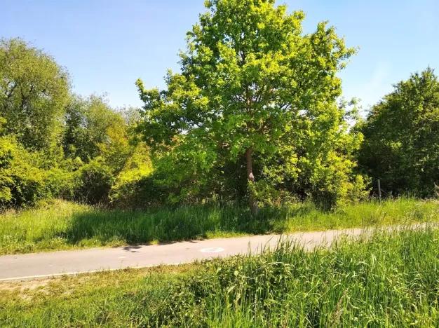 Prodej pozemku pro bydlení, Praha - Újezd nad Lesy, 4702 m2