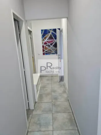 Pronájem bytu 2+kk, Nový Šaldorf-Sedlešovice - Nový Šaldorf, Dlouhá, 43 m2