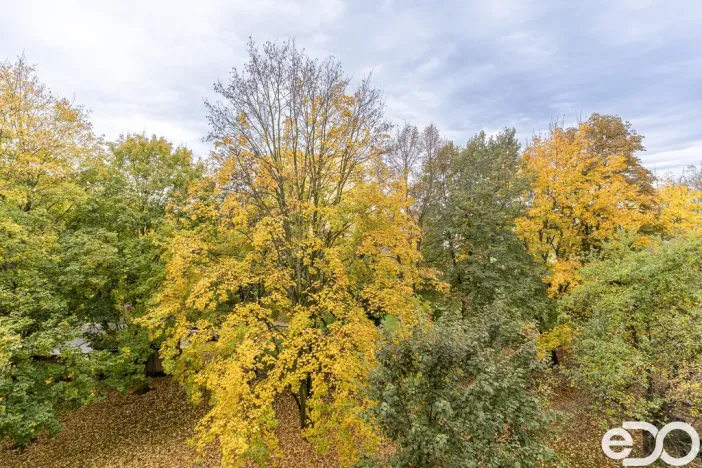 Pronájem bytu 2+1, Kolín - Kolín II, Rimavské Soboty, 53 m2