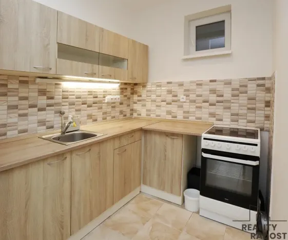 Pronájem bytu 2+kk, Praha - Žižkov, Viklefova, 47 m2