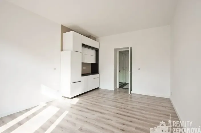 Pronájem bytu 1+kk, Praha - Žižkov, Bořivojova, 31 m2