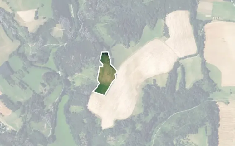 Prodej louky, Kunštát, 22834 m2