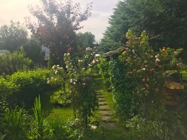 Prodej rodinného domu, Dětřichov nad Bystřicí, 140 m2