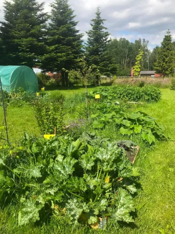 Prodej rodinného domu, Dětřichov nad Bystřicí, 140 m2