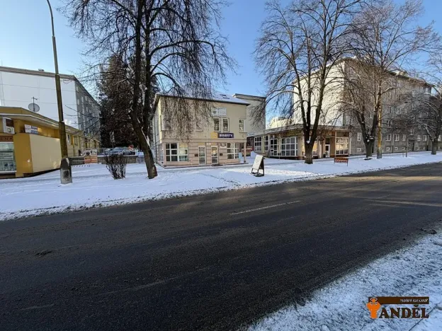 Pronájem obchodního prostoru, Havířov, Dlouhá třída, 55 m2