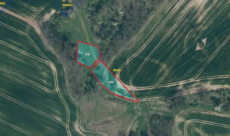 Prodej louky, Úštěk, 1632 m2