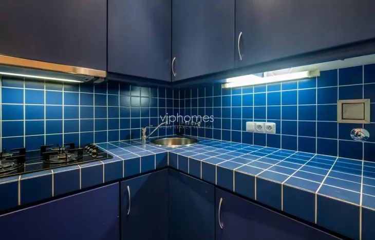 Pronájem bytu 2+1, Praha - Vinohrady, Anny Letenské, 54 m2