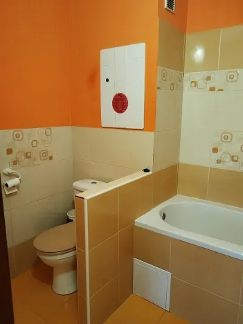 Prodej bytu 3+1, Mladá Boleslav - Mladá Boleslav II, Jana Palacha, 68 m2