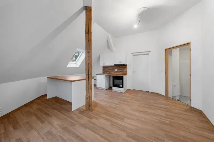 Pronájem bytu 2+kk, Ústí nad Labem, Žukovova, 51 m2