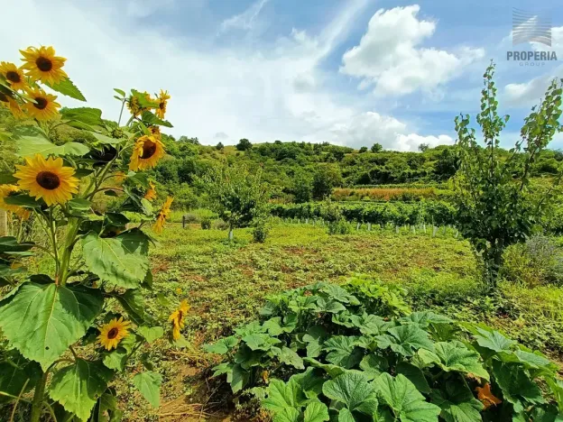Prodej sadu/vinice, Pouzdřany, 1120 m2