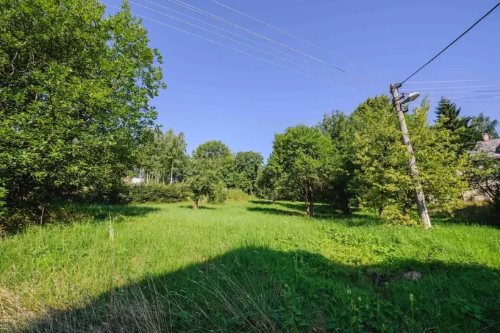 Prodej pozemku pro bydlení, Zlatá Olešnice, 4188 m2