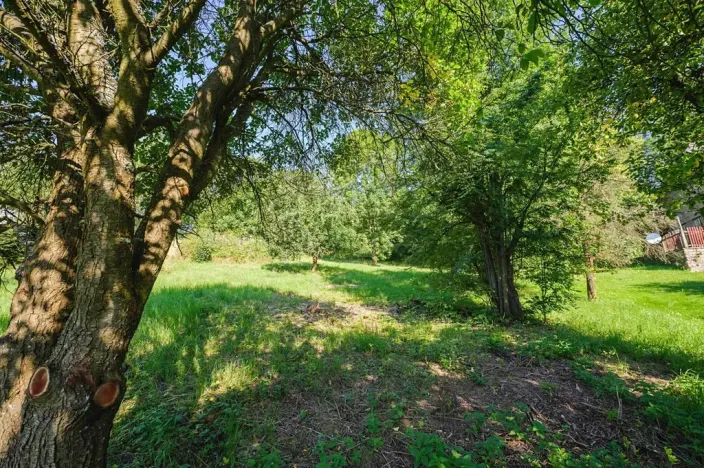 Prodej pozemku pro bydlení, Zlatá Olešnice, 4188 m2