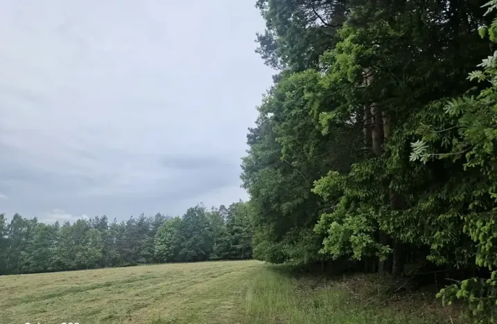 Prodej lesa, Paceřice, 4924 m2