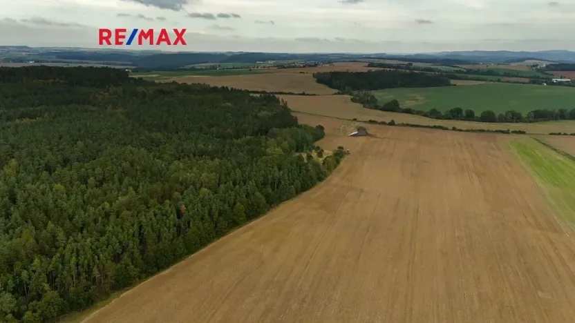 Prodej lesa, Všehrdy, 35057 m2