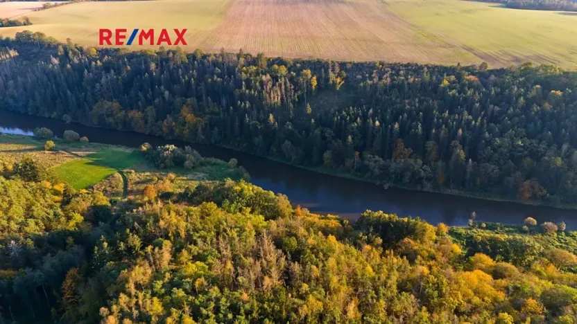 Prodej lesa, Všehrdy, 35057 m2