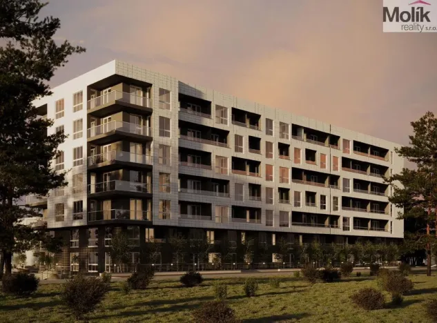 Prodej bytu 2+kk, Golem, 63 m2