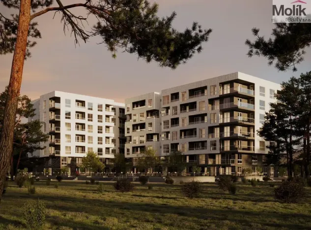 Prodej bytu 2+kk, Golem, 63 m2