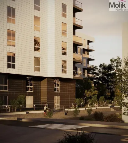 Prodej bytu 1+kk, Golem, 47 m2