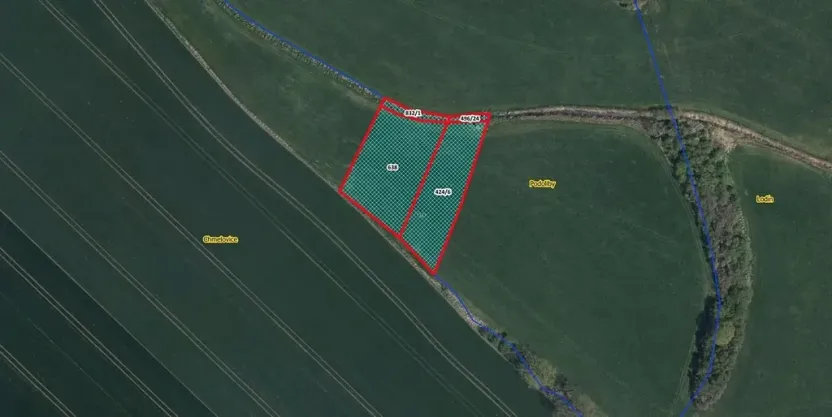 Prodej louky, Králíky, 3812 m2