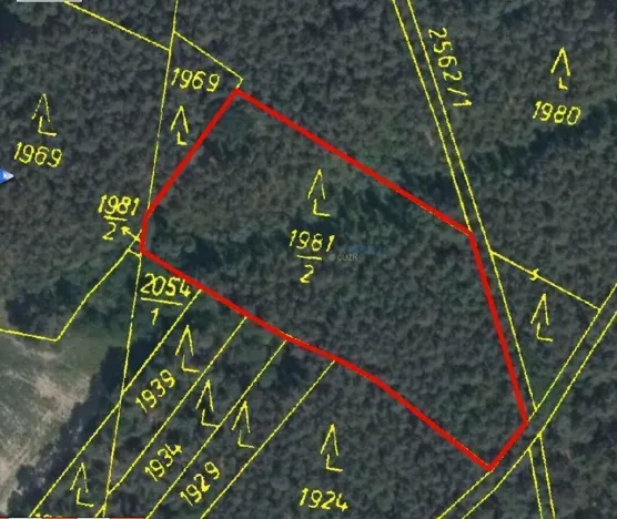 Pronájem pole, Bechlín, 5928 m2