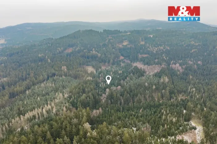 Prodej lesa, Hůrky, 6294 m2