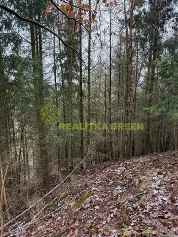 Prodej lesa, Konice, 10385 m2