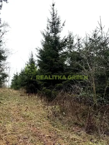 Prodej lesa, Konice, 3343 m2