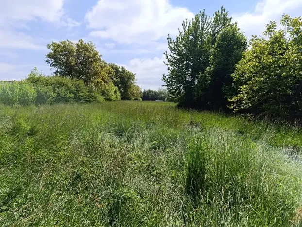 Prodej rodinného domu, Kožlany, 180 m2