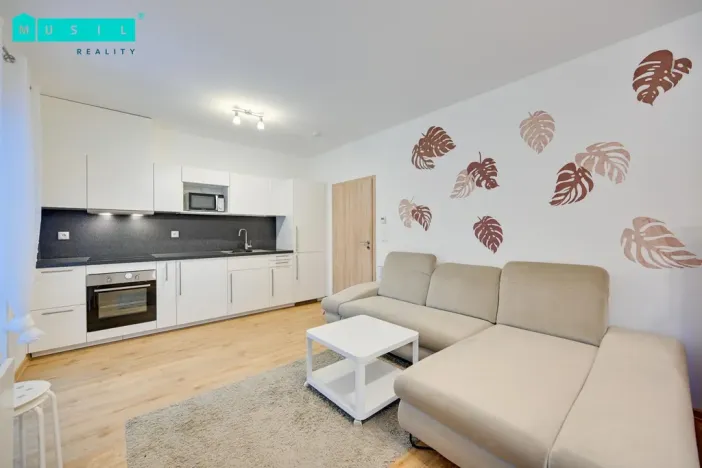 Pronájem bytu 1+kk, Šumperk, Bludovská, 37 m2