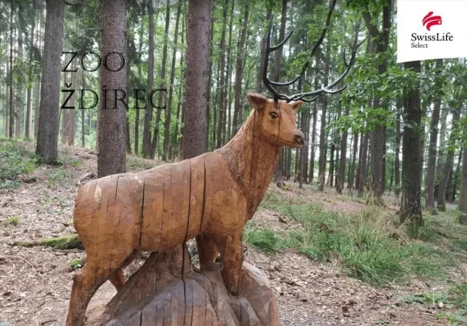 Prodej pozemku pro bydlení, Ždírec, 923 m2