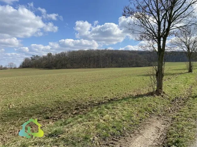 Prodej pozemku pro bydlení, Mořina, 1000 m2