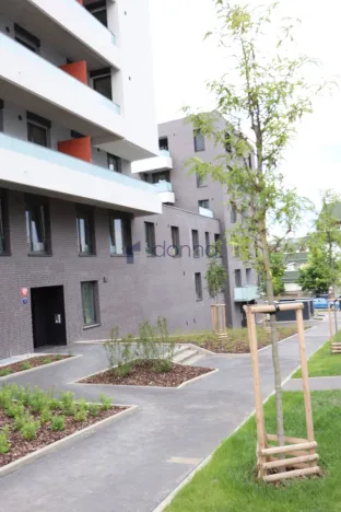 Pronájem bytu 2+kk, Praha, Novotného, 45 m2