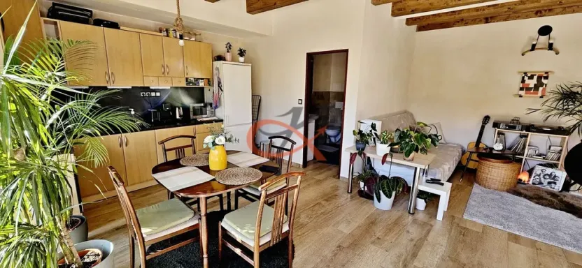 Pronájem bytu 1+kk, Rožnov pod Radhoštěm, Polanského, 50 m2