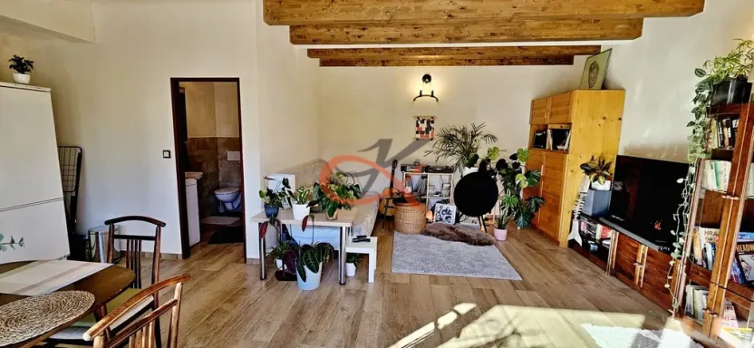 Pronájem bytu 1+kk, Rožnov pod Radhoštěm, Polanského, 50 m2