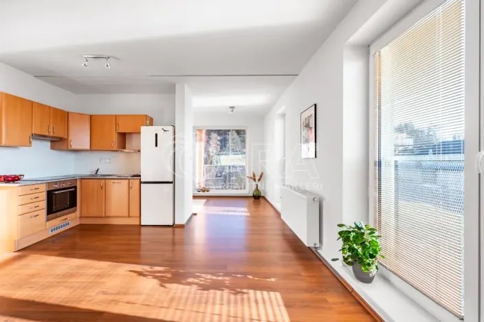 Prodej bytu 1+kk, Kařez, 45 m2