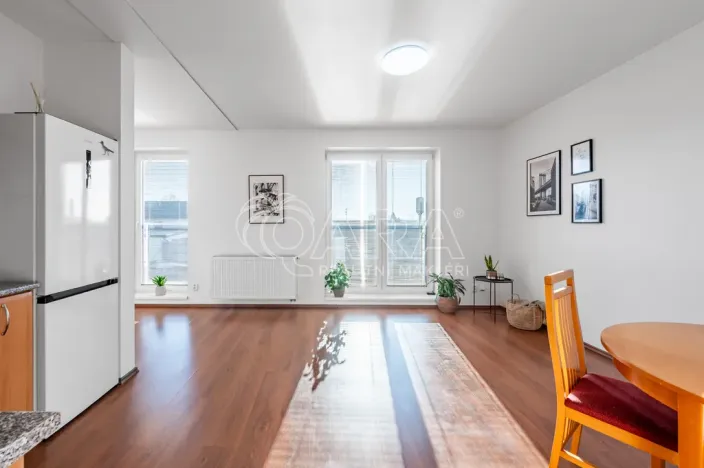 Prodej bytu 1+kk, Kařez, 45 m2