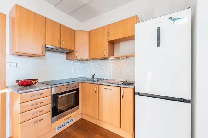 Prodej bytu 1+kk, Kařez, 45 m2