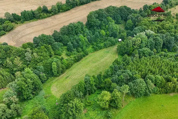 Prodej rybníku, Petrov, 7803 m2