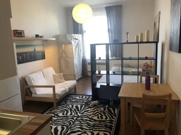 Pronájem bytu 1+kk, Praha - Žižkov, Hartigova, 22 m2