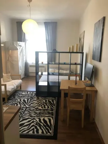 Pronájem bytu 1+kk, Praha - Žižkov, Hartigova, 22 m2