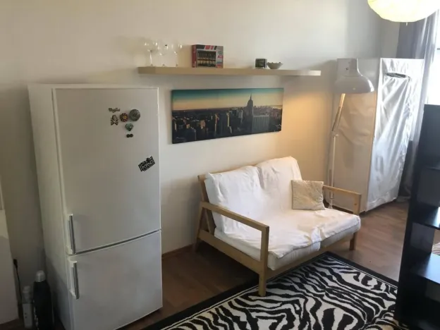 Pronájem bytu 1+kk, Praha - Žižkov, Hartigova, 22 m2