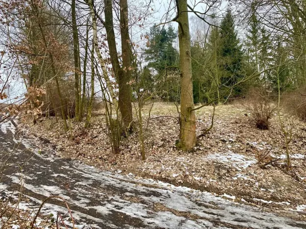 Prodej pozemku pro bydlení, Pertoltice pod Ralskem, 1283 m2