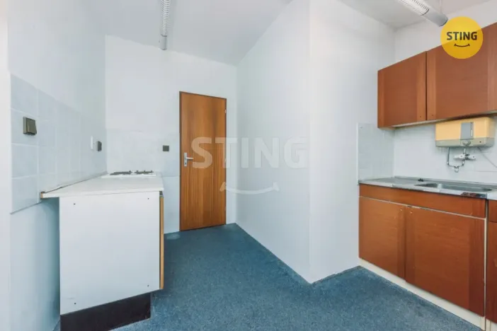 Prodej komerční nemovitosti, Svratka, Táborská, 880 m2