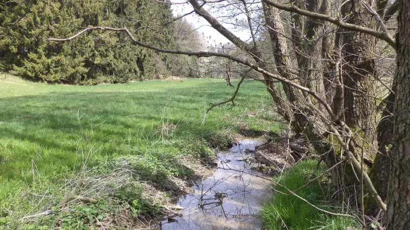Prodej pole, Mezno - Stupčice, 8388 m2