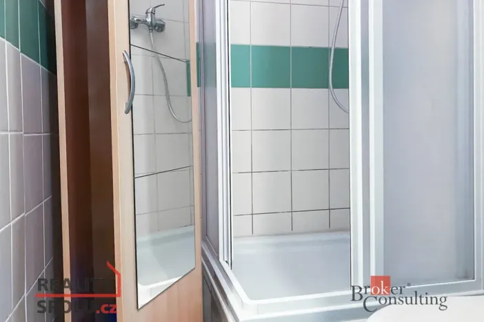 Prodej bytu 4+1, Brno - Zábrdovice, Cejl, 53 m2